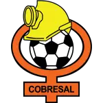 COBRESAL Logo