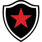 Botafogo Logo