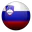 Slovenia country flag