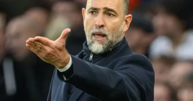 Tottenham vs Crystal Palace – News and Probable Lineups
