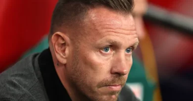 Wales vs Bosnia and Herzegovina – News and Probable Lineups