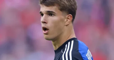 Wolfsburg vs Hamburg SV – News and Probable Lineups