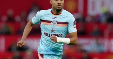 Brentford vs. Crystal Palace – News and Probable Lineups