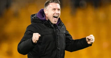 Wolves vs Fulham – News and Probable Lineups