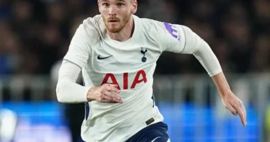 Tottenham vs Hoffenheim – News and Probable Lineups
