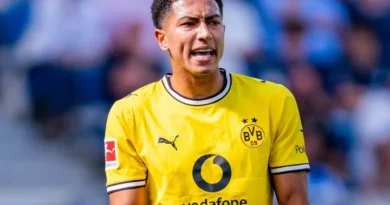 Stuttgart vs Dortmund – News and Probable Lineups