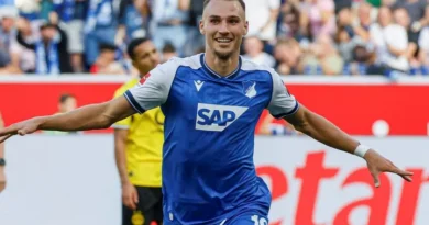 Hoffenheim vs Hamburg SV – News and Probable Lineups